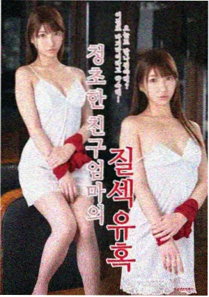 柳神角色图鉴封面